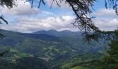 Excursión Senderismo Sare - col de lizarrieta et col des 3 bornes - Photo 11