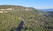 Randonnée Marche La Farlède - Petit Coudon en partant de La Farlède - Photo 3