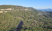 Excursión Senderismo La Farlède - Petit Coudon en partant de La Farlède - Photo 3