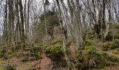 Randonnée Marche nordique Lauroux - Labeil Forêt de l'Escandorgue Juin 2021 - Photo 13