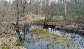 Randonnée Marche Fontainebleau - parcours des jonquilles - Photo 5