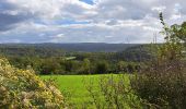 Trail Walking Durbuy - Autour de Tohogne (Durbuy) - Photo 6