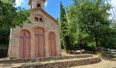 Tour Wandern Chavanay - bessey - Photo 14