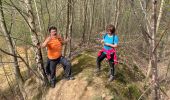 Trail Walking Braine-le-Comte - Bois de la Houssiere - Photo 3