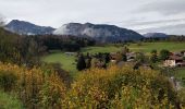 Trail Walking Arâches-la-Frasse - Les Carroz, Mont Favy, pierre à Laya, Araches, remontée par les Nantes praz rôti, retour par les grangettes - Photo 5