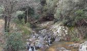 Tour  Tanneron - Tanneron - Photo 5