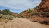 Tour Wandern Unknown - 2024 Vermillon Cliffs Bucksin Trail - Photo 6