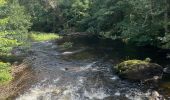 Tocht Stappen Monschau - Autour et dans Monschau - Photo 3