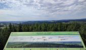 Tour Wandern Weinsheim - Weinsheim dag 3 - Photo 14