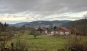 Randonnée Marche Le Tholy - Sentier de la Roche Au Blaireau depuis le gîte  - Photo 1