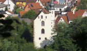 Tour Zu Fuß Obrigheim - Rundwanderweg Bickeldorn 6: Schloss-Neuburg-Weg - Photo 5