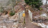 Excursión Senderismo Saulzet-le-Froid - La banne d'Ordanche - Photo 2