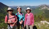 Tocht Stappen Saint-Julien-en-Beauchêne - 2029 05 31 les 4 cols - Photo 2