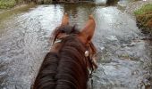 Trail Horseback riding Manhay - oster malempre bra sur lienne  oster - Photo 5