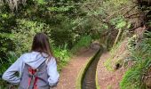 Trail Walking São Jorge - Levada del Rei - Photo 19