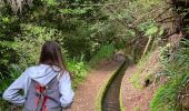 Trail Walking São Jorge - Levada del Rei - Photo 19