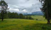 Excursión Senderismo Kastelruth - Castelrotto - Alpe Di siusi - Photo 3