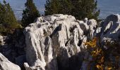 Tocht Stappen Entremont-le-Vieux - Le Granier par Tencovaz - Photo 4