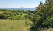 Trail Walking Juville - côte de Delme - Photo 2