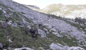 Excursión Marcha nórdica Villard-de-Lans - Deux Soeurs - Photo 19