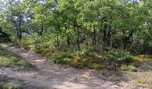 Tocht Stappen Rustrel - visite et tour du Colorado Provençal  - Photo 7