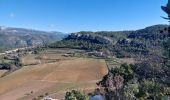 Randonnée Marche Roquefort-la-Bédoule - Grand Caunet- vieux Roquefort - Chap. St André  - Photo 8