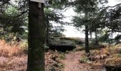 Trail Walking Taintrux - MARCHE 17-10-2019 -  23,5KM - Photo 5