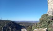 Excursión Senderismo Lirac - rando des 4 lavoirs  - Photo 17