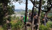 Trail Walking Saint-Affrique - Les Pressoirs - Photo 1