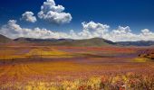 Randonnée A pied Norcia - Castelluccio di Norcia (SI)/Rifugio Capanna Ghezzi - Photo 3