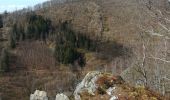 Tour Wandern Vielsalm - Le bec du corbeau - Photo 13