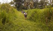 Excursión Senderismo Le Lorrain - Rando Bananeraie La Rougerie - Photo 15