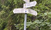 Percorso Marcia Feldberg - Bärhaldeweg -Schlugsee (20) - Juillet 2024 - Photo 4
