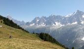 Trail Walking Les Houches - AIGUILLETTE DES HOUCHES - Photo 4