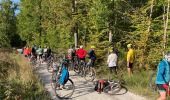 Percorso Mountainbike Fontainebleau - Fontainebleau  - Photo 10