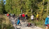 Trail Mountain bike Fontainebleau - Fontainebleau  - Photo 10