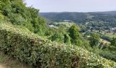 Tour Wandern La Roche-en-Ardenne - MESA _ 2023 _ Étape 1 _ LA ROCHE-en-ARDENNE _ 27/06/2023 - Photo 1