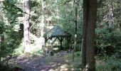 Percorso Marcia Spa - La forêt et les fagnes - Photo 16