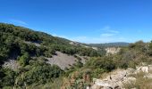 Excursión Senderismo Buoux - PF-Buoux - Sivergues - Le Vallon de l'Aigue Brun - Reco - 01.07.2021 - Photo 10