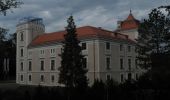 Tocht Te voet Gemeinde Leopoldsdorf - Augenblick Runde - Photo 2