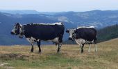 Trail Walking La Bresse - Le Hohneck et ses lacs d'altitude - Photo 11