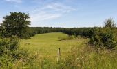 Tour Wandern Chimay - Adeps chimay 23.06.19 - Photo 10