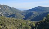 Tour Wandern Signes - Montée vers le plateau de la Limatte en partant de Signes  - Photo 5