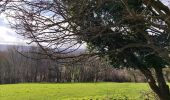 Tour Wandern Olne - La promenade des crêtes - Photo 10