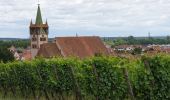 Percorso Marcia Châtenois - Le Hahnenberg et les balcons de Sélestat - Photo 8