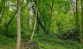 Randonnée Marche Modave - Promenade du rocher de vieux château  - Photo 3