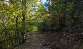 Excursión Senderismo Sault - Verdolier-Frâche - Photo 2