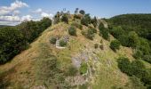 Tour Zu Fuß Weismain - Bärentrail - Photo 10