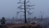 Tour Wandern Spa - petit tour de la fagne - berinzenne - Photo 9