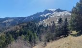 Randonnée Marche Châtel-en-Trièves - tour de la forêt domaniale de Chatel - Photo 5